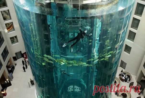 Германия. Берлин.  AquaDom – этот 25-метровый аквариум 
расположен в отеле Radisson SAS Hotel. 
А внутрь этого аквариума архитектор расположил лифт.