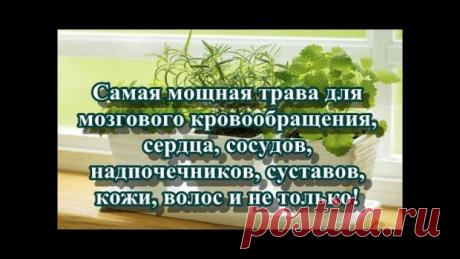 Валентина-Ивановна Бубнова
