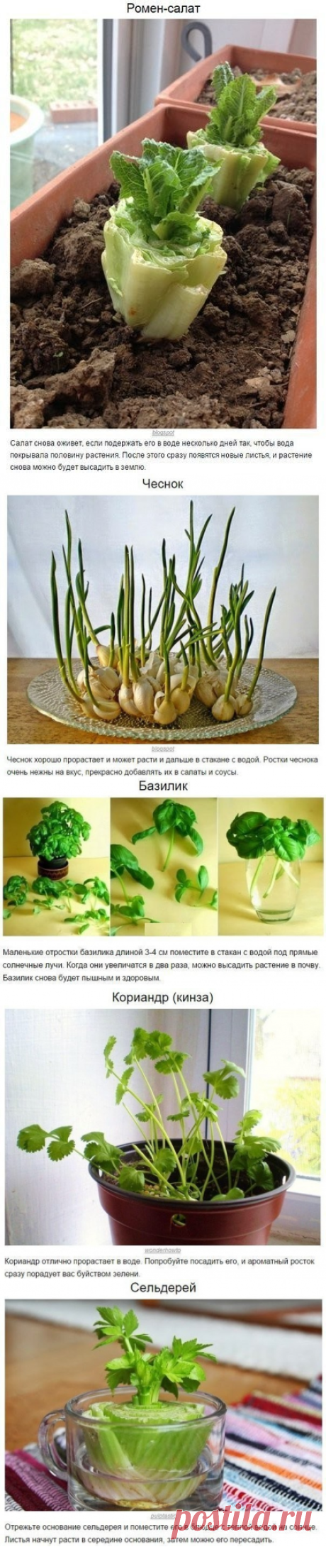 (72) Одноклассники