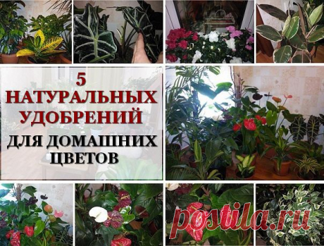 HandMade