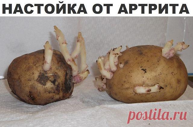 Настойка от артрита