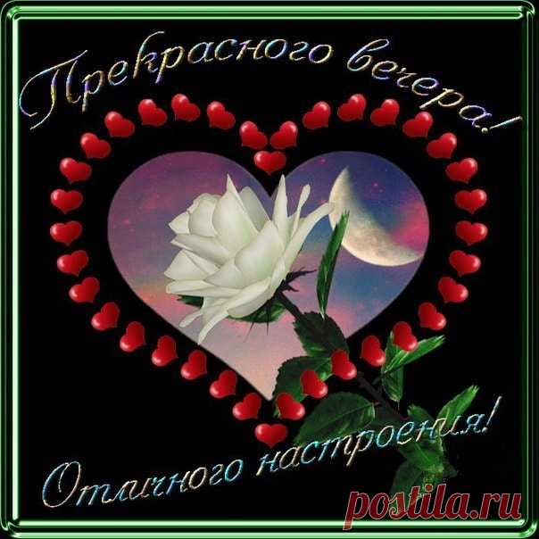(60) Зина Таирова