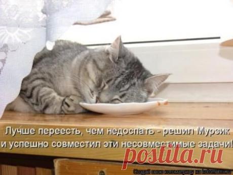 Улыбашки от Сашки | 5минутка