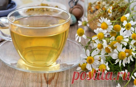 Отвар ромашки.