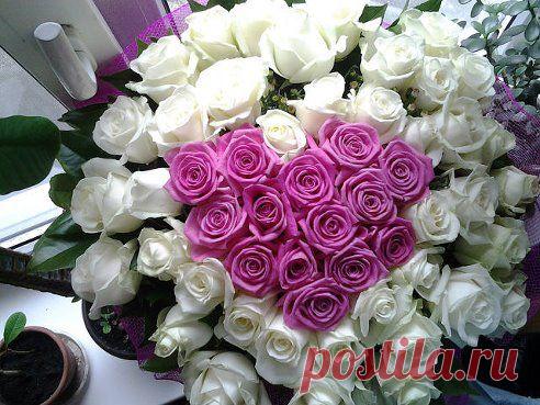 Для Тебя!
http://ok.ru/okotkritki

Жми Класс чтоб и ваши друзья увидели эти красивые цветы!