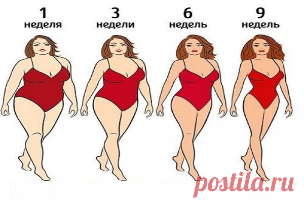 План безуглеводной диеты: — 15 кг через 9 недель | Диеты со всего света
