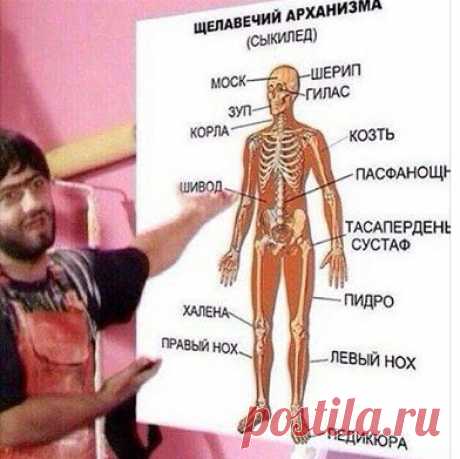 Как победить аллергию. Рассказываю о своем опыте.