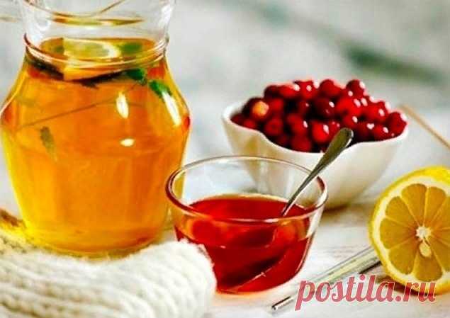РЕЦЕПТЫ ОТ КАШЛЯ
