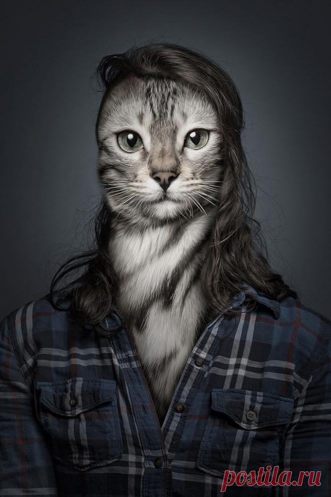 Котики и их хозяева: найдите 10 отличий / Питомцы