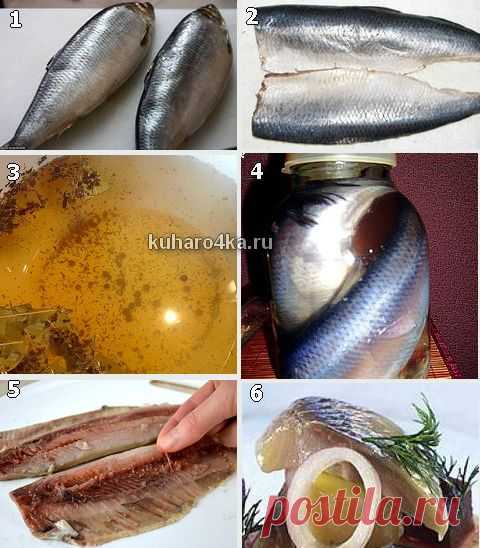 Хозяюшка. Кушать подано! - Как засолить селёдку