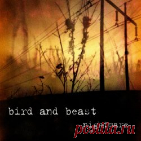 Bird And Beast - Subhuman (2024) [Single] Artist: Bird And Beast Album: Subhuman Year: 2024 Country: Sweden Style: Darkwave, Industrial, Trip-Hop