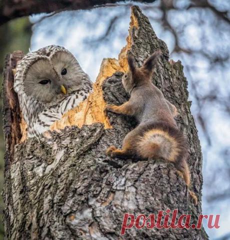 Beautiful Pictures – Google+