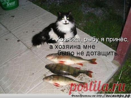Интересные новости