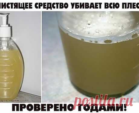 Чистящее средство,убивающее плесень