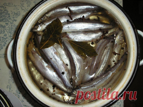 Оказывается, дешевая мойва намного полезнее красной рыбы. Я покупаю ее и быстро мариную - получается очень вкусно