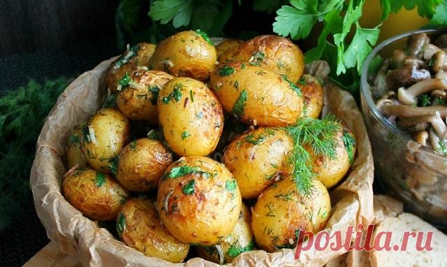 ДИЕТОЛОГ РАССКАЗАЛА, КАКОЕ БЛЮДО ИЗ КАРТОФЕЛЯ САМОЕ ПОЛЕЗНОЕ — Journal women❜s