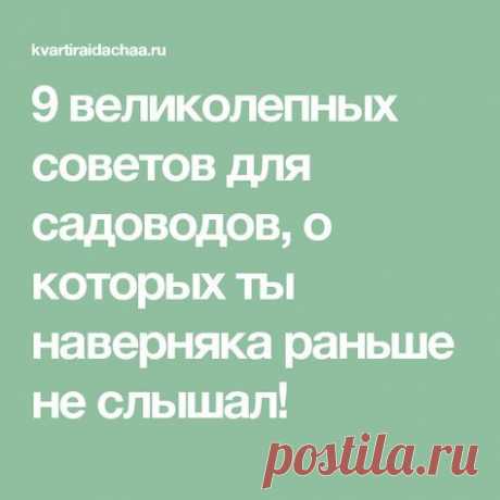 9 великолепных советов для садоводов, о которых ты наверняка раньше не слышал!
