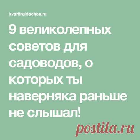 9 великолепных советов для садоводов, о которых ты наверняка раньше не слышал!