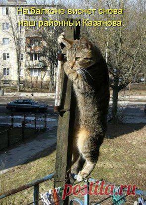 (2) Одноклассники