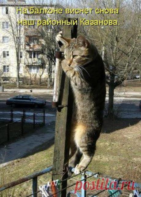 (2) Одноклассники