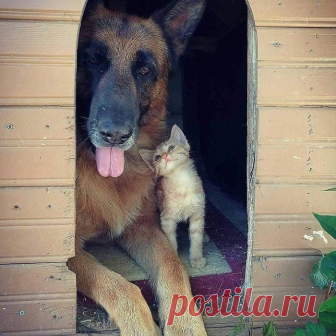 Супер кадр из интернета!