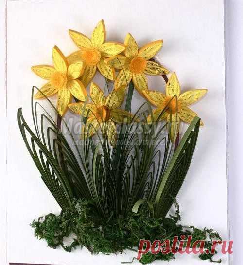 квиллинг схемы для начинающих, квиллинг схемы