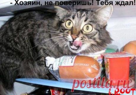 Счастье и ... мне ничо не будет?