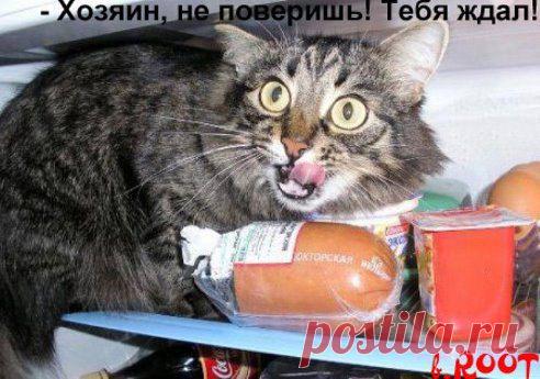 Счастье и ... мне ничо не будет?