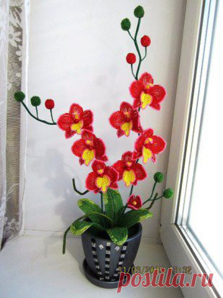 Одноклассники