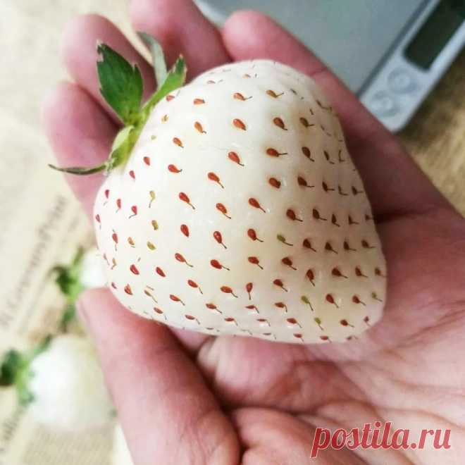 Подборка интересных и веселых картинок &bull; zabaka.net