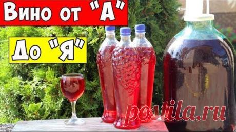 ВИНО из ВИНОГРАДА / Для НОВИЧКОВ - Самый Простой Рецепт / Домашнее Вино
