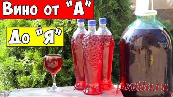 ВИНО из ВИНОГРАДА / Для НОВИЧКОВ - Самый Простой Рецепт / Домашнее Вино