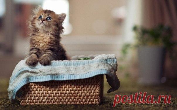 b-41840.jpg (604×377)