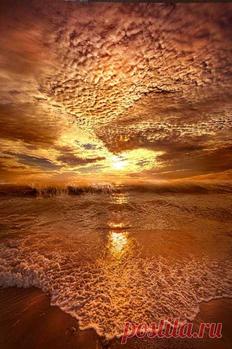 by Phil Koch