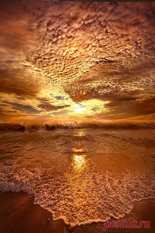 by Phil Koch