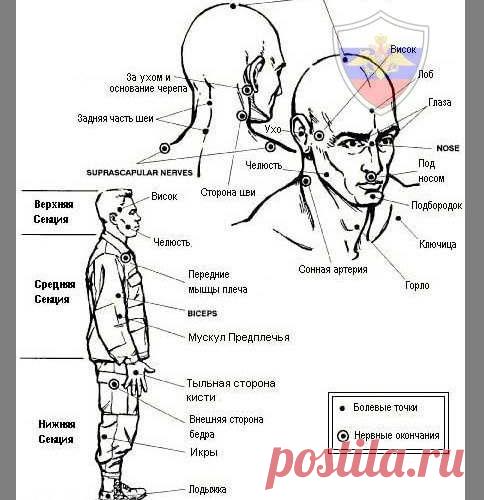 КОНТАКТ С ПРОТИВНИКОМ. УЯЗВИМЫЕ ТОЧКИ ТЕЛА