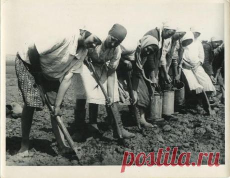 Гигиена российских женщин: что вводит в изумление европеек - ХОЗЯЮШКА24 Казалось бы, правила гигиены в разных цивилизованных странах мало чем могут различаться. Но это не так, если учесть, что в современном мире даже гигиена зависима от экономики. И...