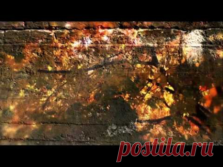 Черный кофе Листья - С ветки падающий лист (Переступи порог 1987)