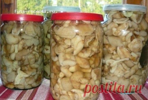 10 заготовок из ГРИБОВ на зиму. | Кулинарные Рецепты