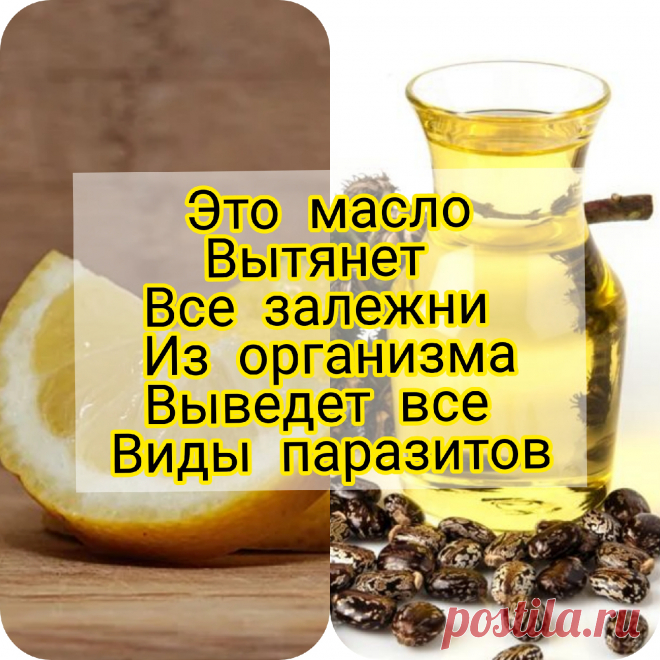 С миру по вкусу: Это МАСЛО способно вывесили не только залежни, но токсины и все виды паразитов