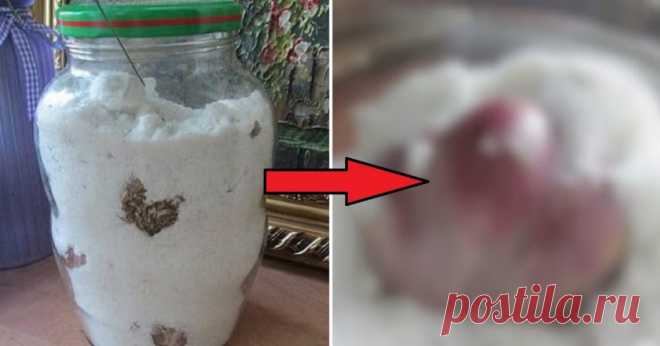 Как сохранить чеснок на зиму - Кейс советов