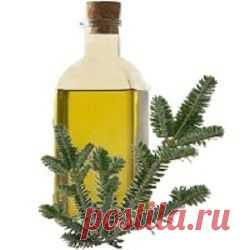 Пихтовое масло лечебные свойства