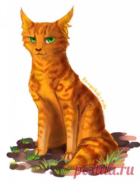 Firestar. Warriors by Romashik-arts on DeviantArt