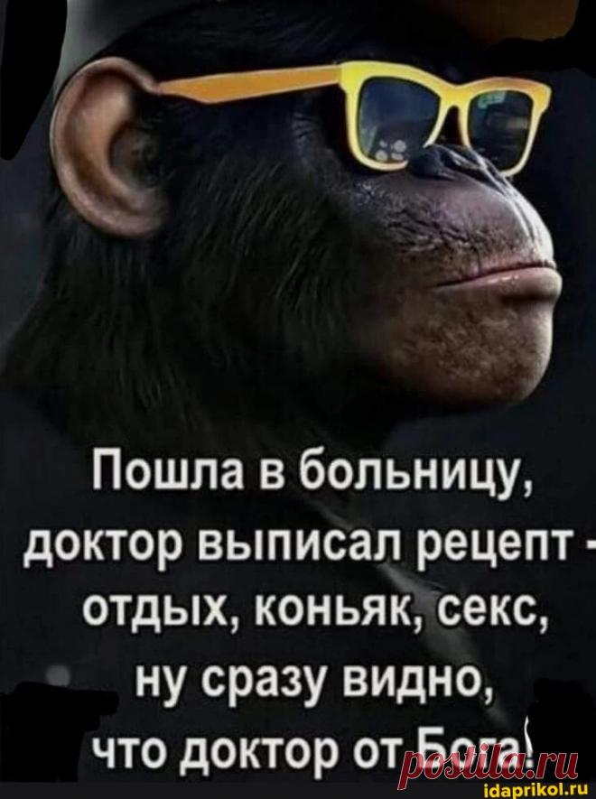 Пошла в больницу, доктор выписал рецепт - отдых, коньяк, 'секс, ну сразу видно, что поктор от Бога\ - ) / АйДаПрикол .)