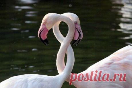 Любите друг друга