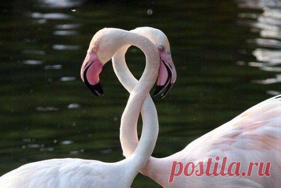 Любите друг друга