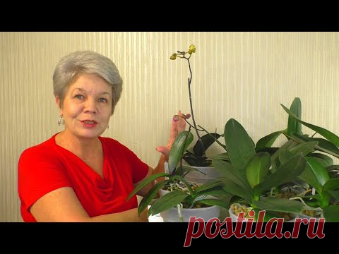 МОНОКАЛИЙ ФОСФАТ