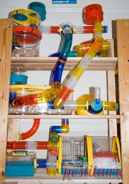 Хомякогонный аппарат ))