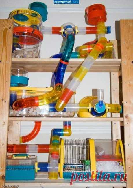 Хомякогонный аппарат ))