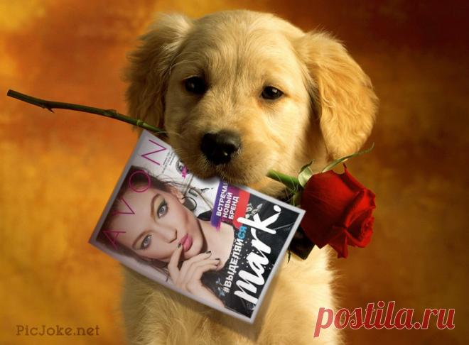 Начал действие 7 каталог AVON,который представляет новую линию косметики AVON MARK. Новый тренд для молодых и ярких,для смелых и дерзких!!!